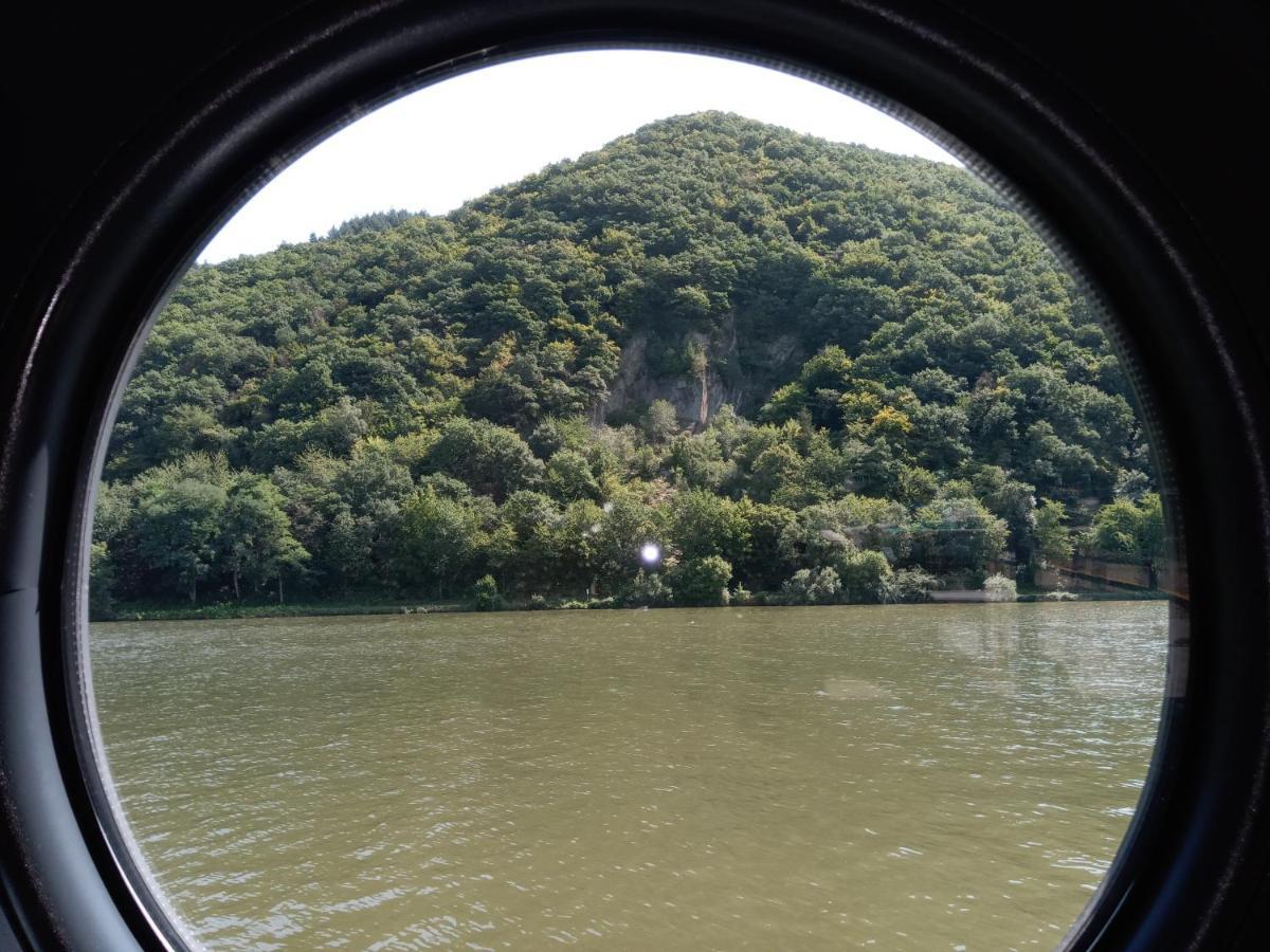 Hausboot Moselrose In Botel *