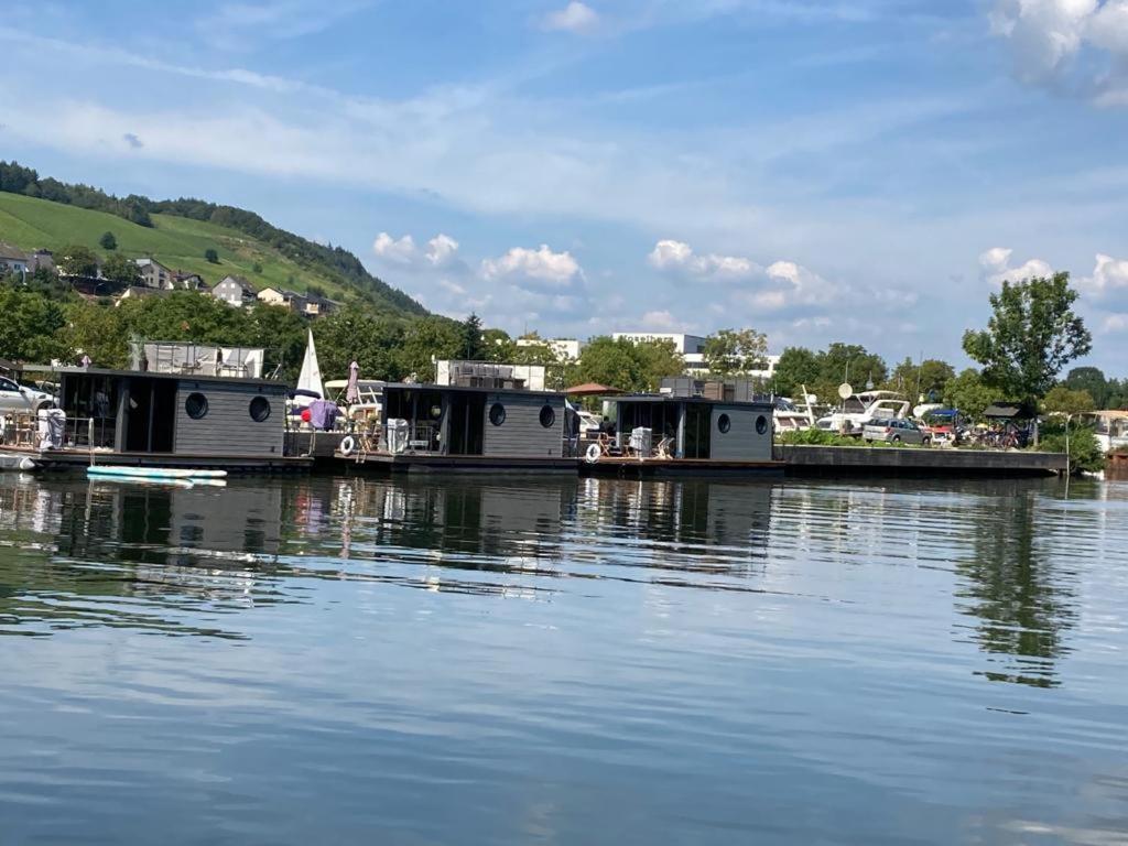 Botel Hausboot Moselrose In Polich